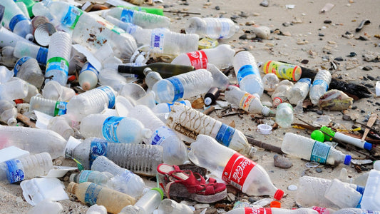 La consommation alarmante de plastique au Québec : Comment devenir acteur du changement